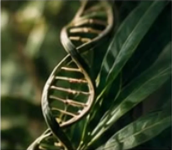 A strand of DNA among green leaves, representing epigenetics